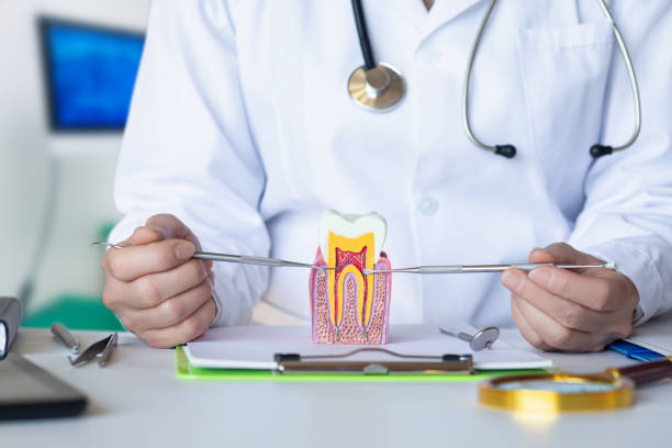 Best Emergency Care for Gum Disease in Rosedale, CA